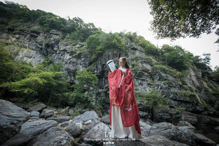 小狗救援行动选关版
